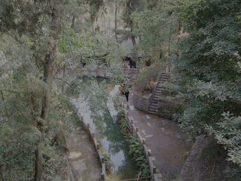 High angle view of people walking on road amidst trees in forest