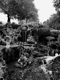 View of waterfall along trees