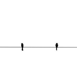 Low angle view of birds perched against clear sky