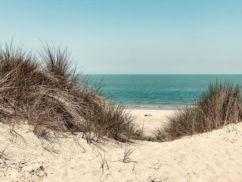 Scenic view of sea against clear sky