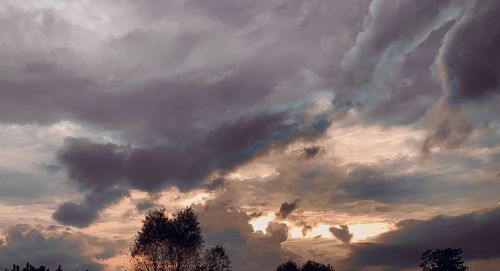 Low angle view of silhouette trees against dramatic sky