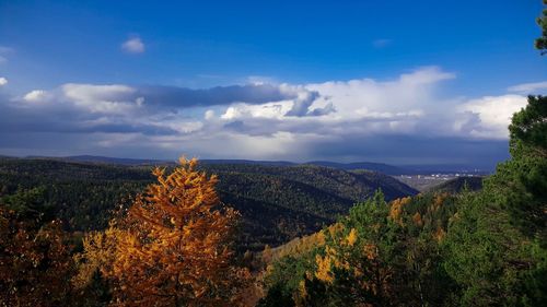 Scenic view of landscape against sky