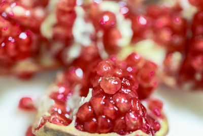 Close-up of pomegranate