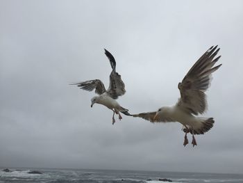 Low angle view of seagull flying over sea against cloudy sky