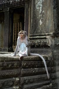 Statue sitting on staircase of building