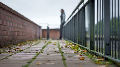 Close-up of walkway by footpath