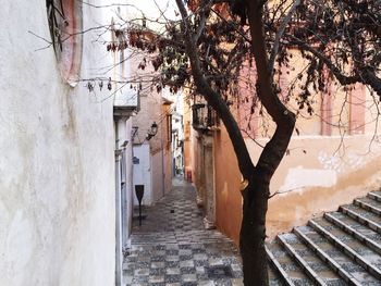 Narrow alley amidst buildings in city