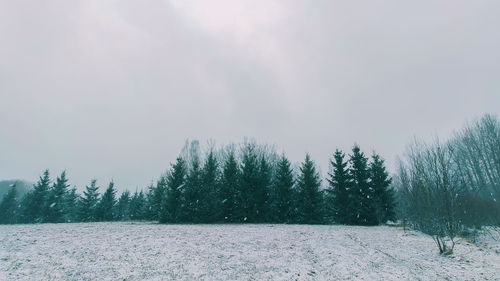 Trees on snow covered field against sky