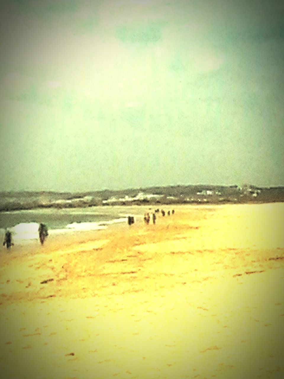 beach, sand, sea, shore, water, horizon over water, sky, tranquil scene, scenics, tranquility, beauty in nature, animal themes, nature, auto post production filter, incidental people, idyllic, coastline, cloud - sky, outdoors, copy space