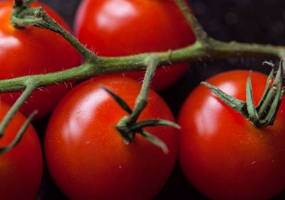 Close-up of red tomatoes