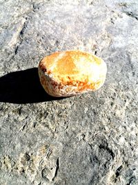 High angle view of a rock