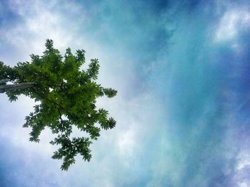 Low angle view of trees against cloudy sky