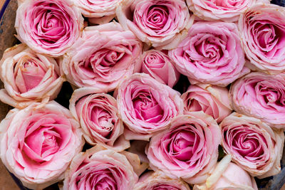 High angle view of rose bouquet