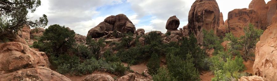 Panoramic view of trees and rocks