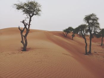 Scenic view of desert against clear sky