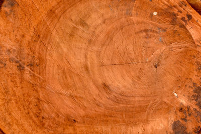 Full frame shot of wooden floor