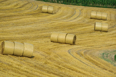 Hay bales on field