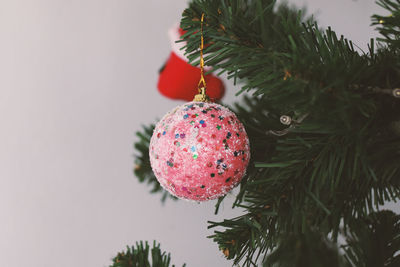 Close-up of christmas tree