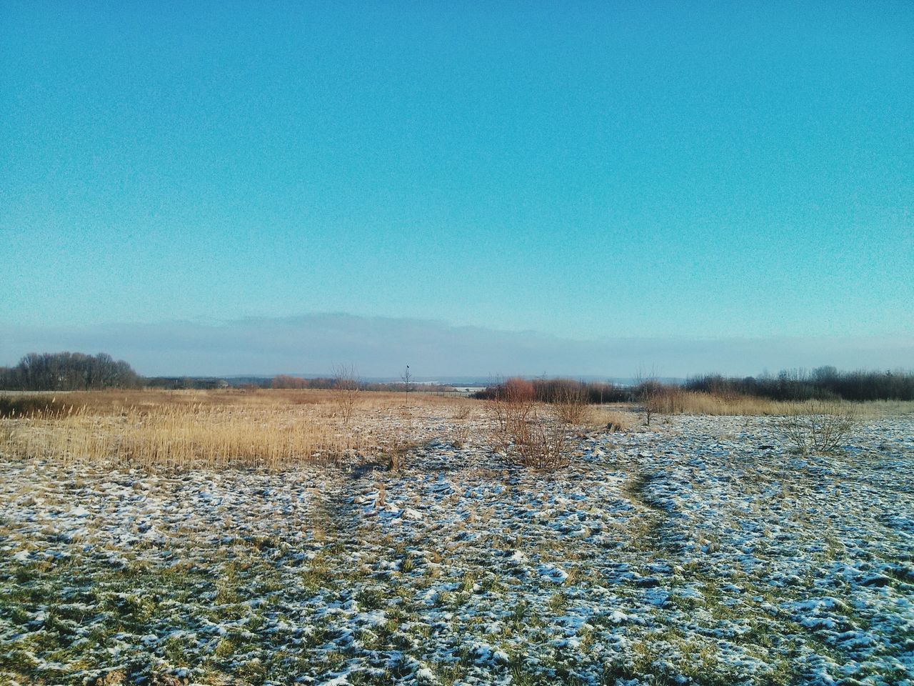 clear sky, tranquility, copy space, tranquil scene, blue, landscape, scenics, nature, field, beauty in nature, sky, surface level, non-urban scene, outdoors, day, remote, no people, water, dry, winter