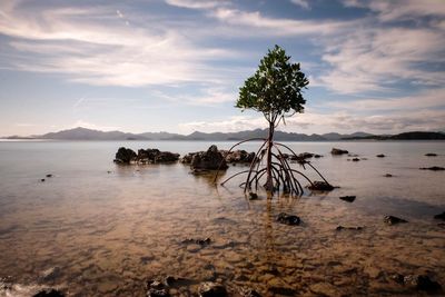 Scenic view of sea against sky