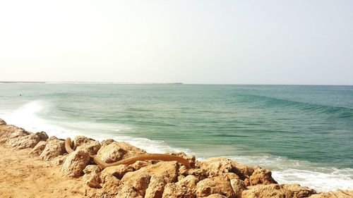 Scenic view of sea against clear sky