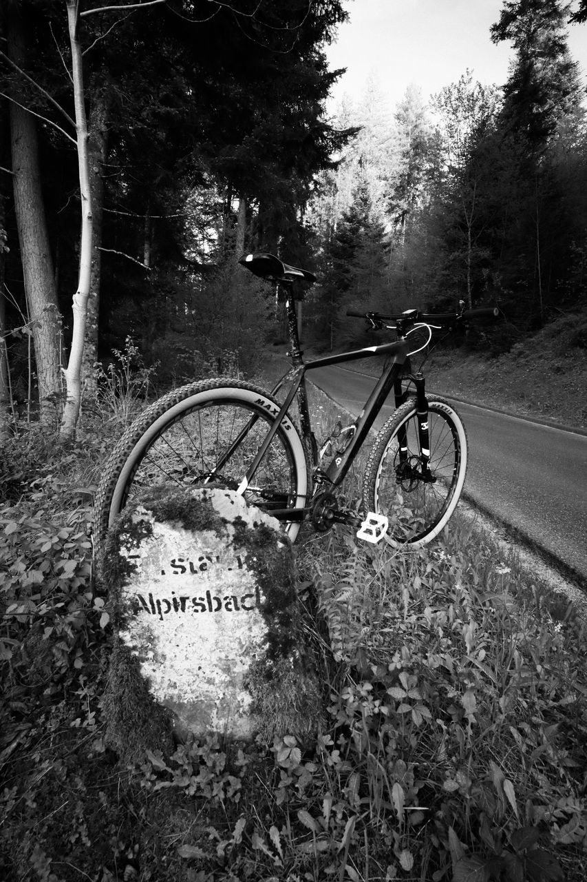 black and white, transportation, plant, tree, bicycle, monochrome, monochrome photography, text, black, darkness, mode of transportation, nature, no people, western script, land vehicle, day, communication, vehicle, sign, outdoors, white, cycling, land, road, sports equipment