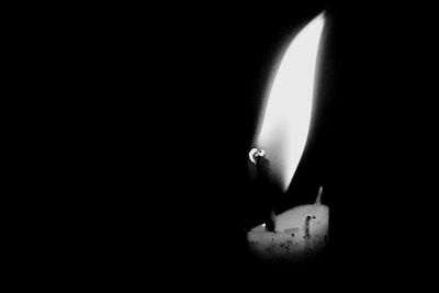 Close-up of lit lamp in darkroom