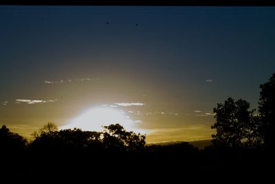 Low angle view of silhouette trees against sky during sunset