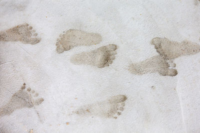 High angle view of footprints on sand
