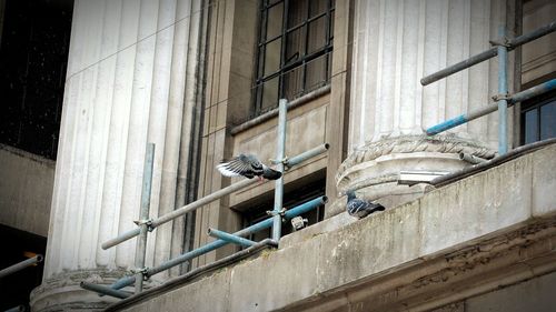 Low angle view of buildings in city