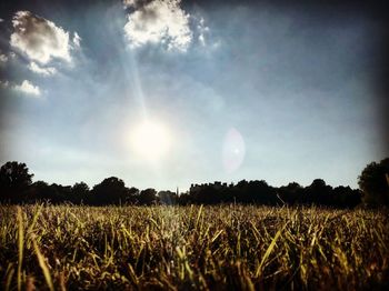 Scenic view of field against sky