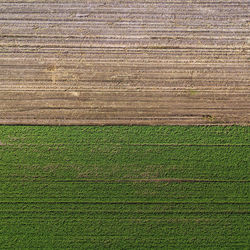 Vertical aerial view of a green field and a brown field, abstract as background, texture or pattern