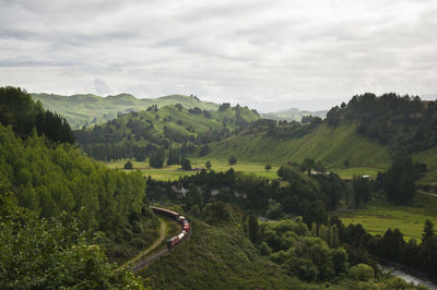 High angle view of train along lush foliage