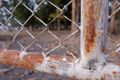 Close-up of rusty metal chainlink fence