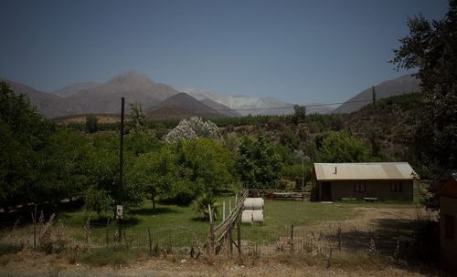 Plants and trees on field against sky