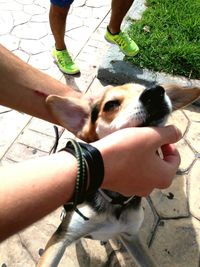 Low section of person with dog