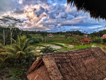 Scenic view of agricultural field against sky