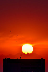 Silhouette birds flying against orange sky