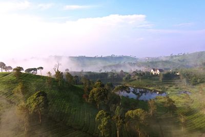 Panoramic shot of trees on field against sky