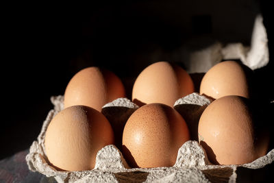 Close-up of eggs in carton