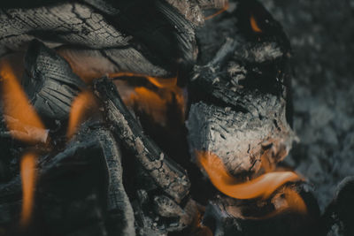 Close-up of fire on log