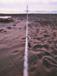 Close-up of starfish on beach against sky