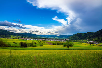 Scenic view of agricultural field against sky