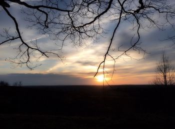 Silhouette of trees at sunset