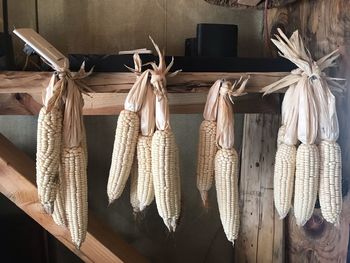 Clothes hanging on rope at home