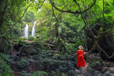 Woman standing by trees in forest