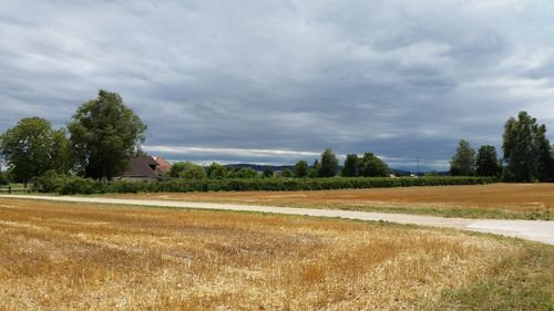 Empty road along countryside landscape