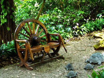 Bicycle wheel against trees