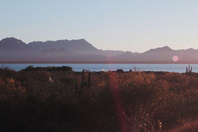 Scenic view of lake against clear sky