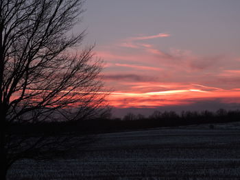 Silhouette tree against dramatic sky during sunset